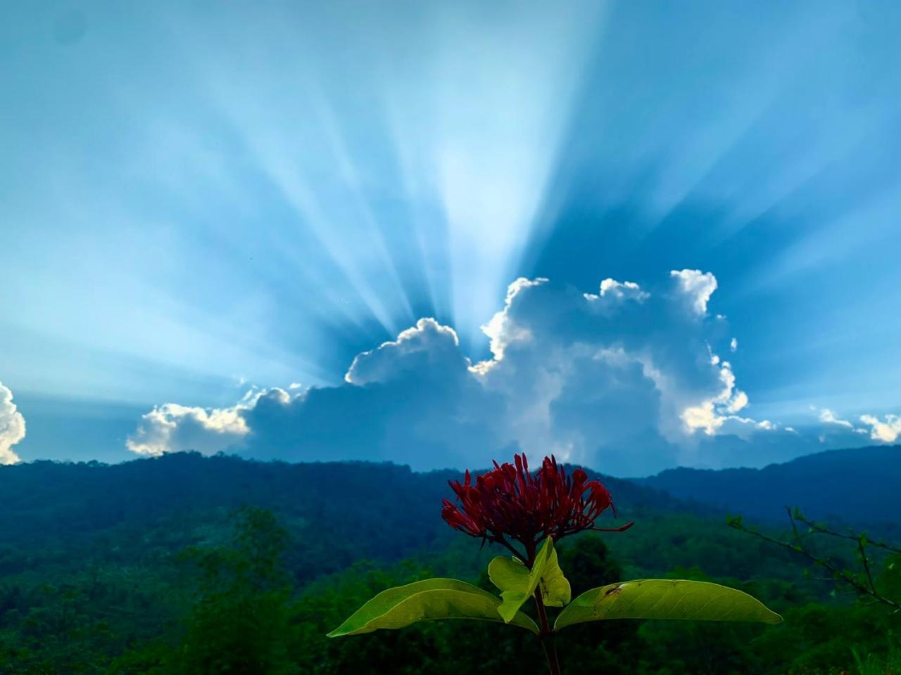 Pu Luong Cuisine Garden Homestay Lang Bang Dış mekan fotoğraf