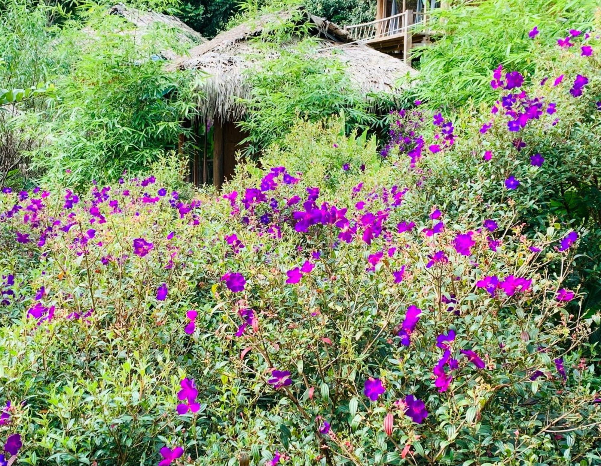 Pu Luong Cuisine Garden Homestay Lang Bang Dış mekan fotoğraf